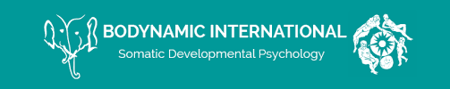 Bodynamic International